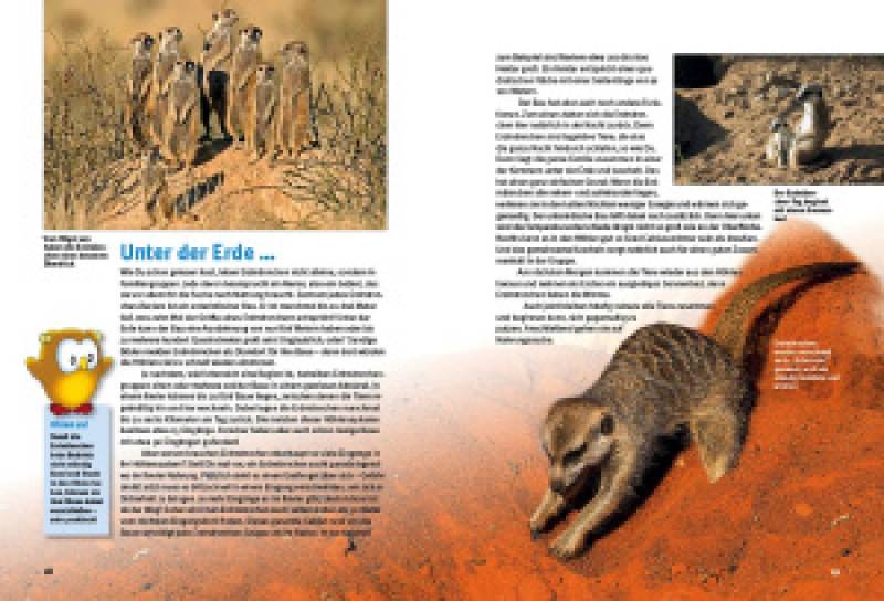 Preview: Entdecke die Erdmännchen